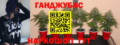 ПСИЛОЦИБИНОВЫЕ ГРИБЫ Рязань